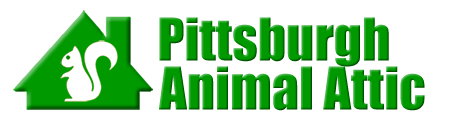 Pittsburgh
 Animal Attic